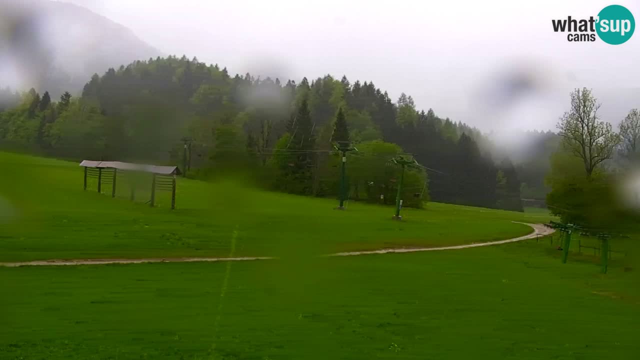 Ski Kranjska Gora | Velika Dolina