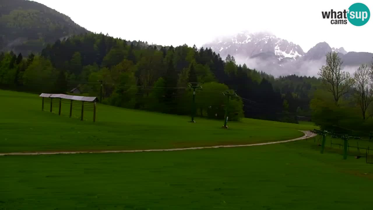 Ski Kranjska Gora | Velika Dolina