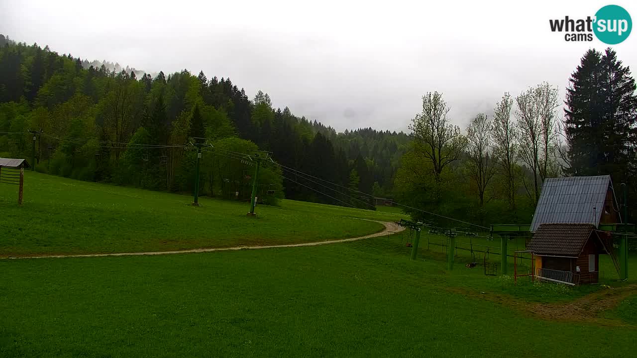 Ski Kranjska Gora | Velika Dolina
