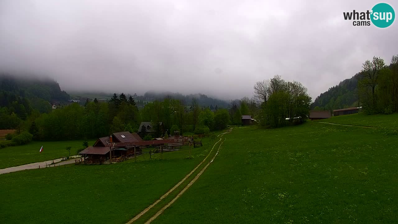 Skigebiet Kranjska Gora | Velika Dolina