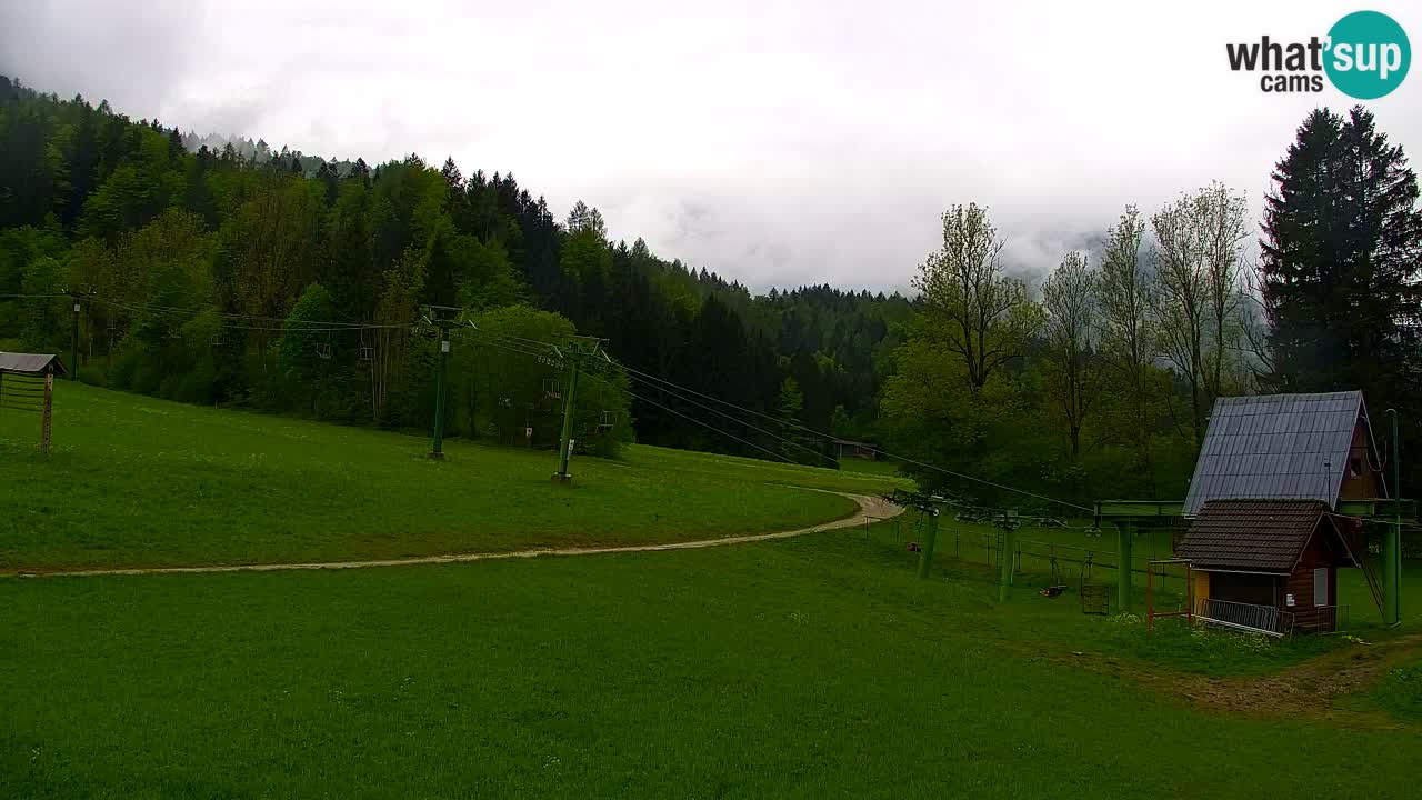 Ski Kranjska Gora | Velika Dolina