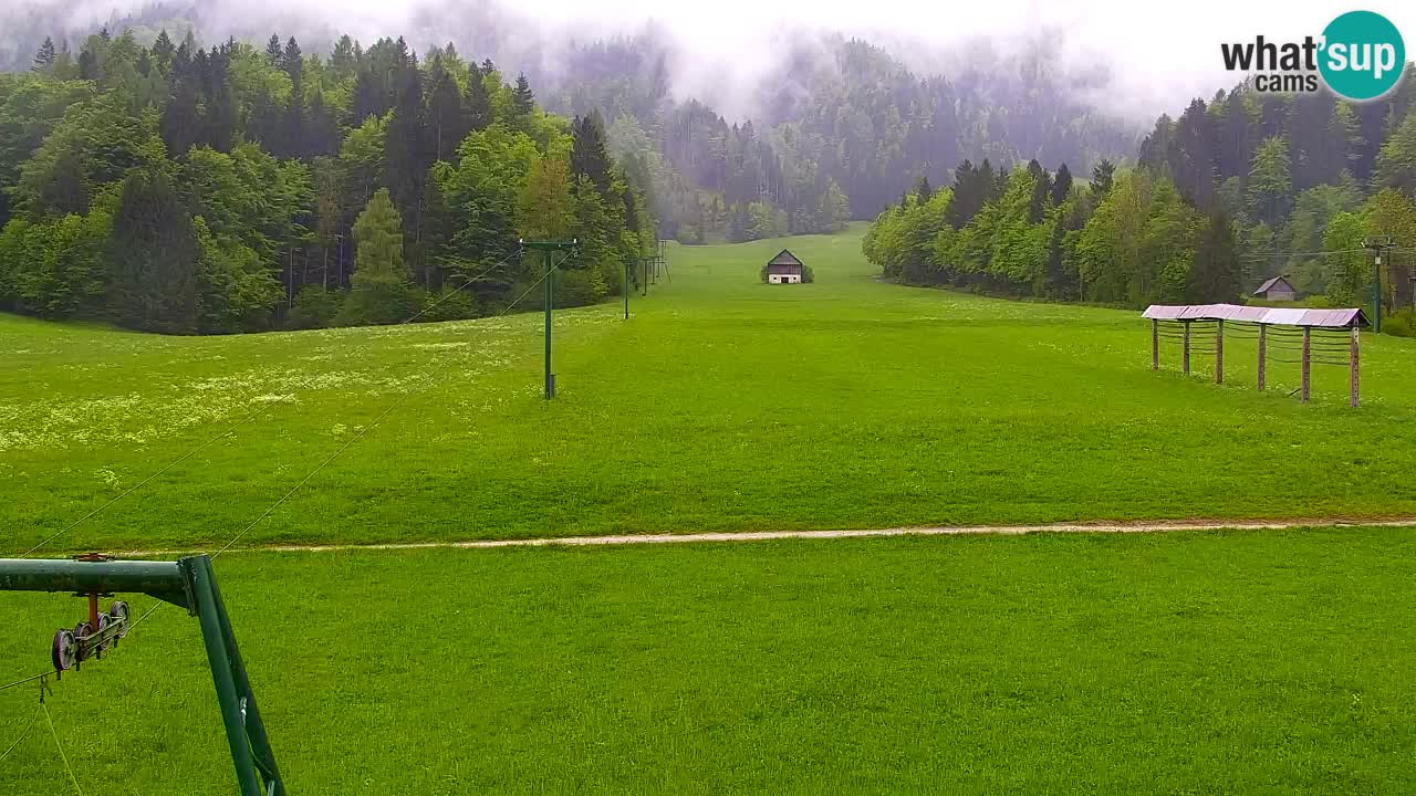 Ski Kranjska Gora | Velika Dolina