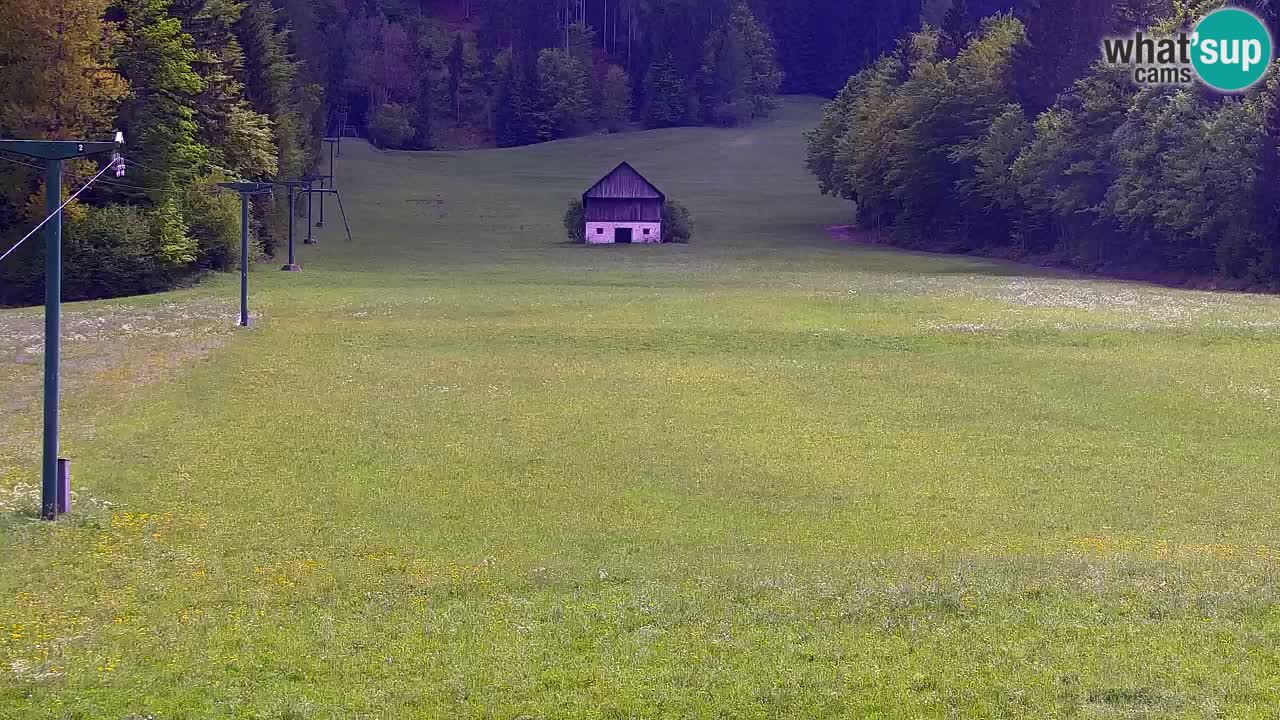 Skigebiet Kranjska Gora | Velika Dolina