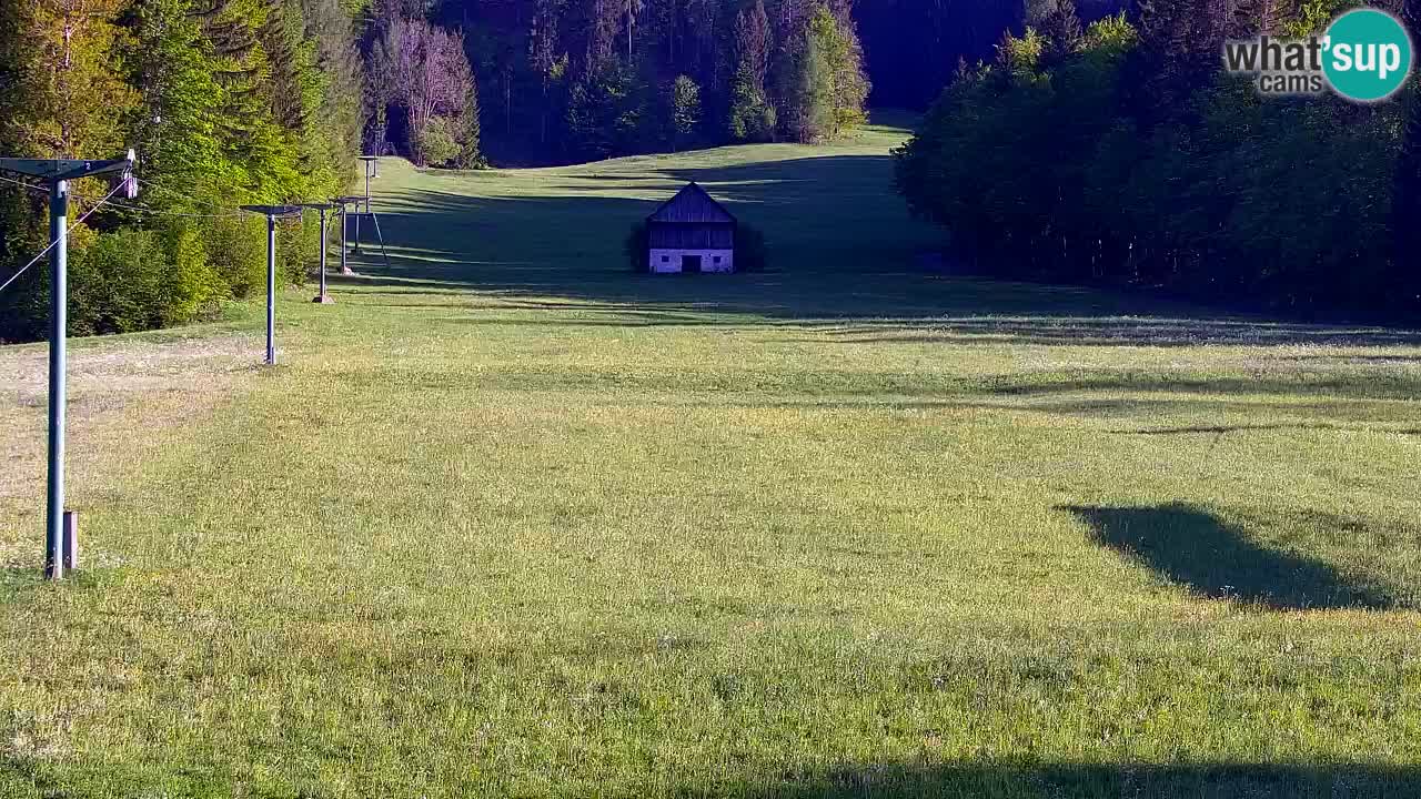 Skigebiet Kranjska Gora | Velika Dolina