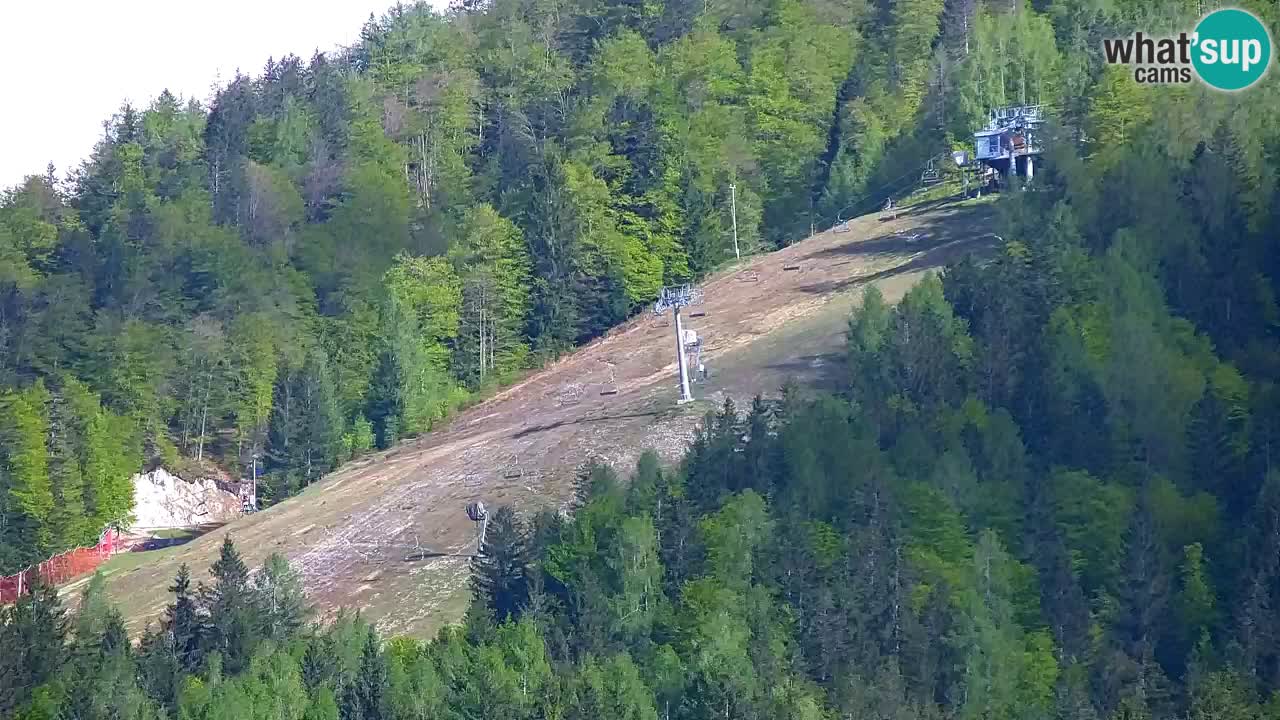 Ski Kranjska Gora | Velika Dolina
