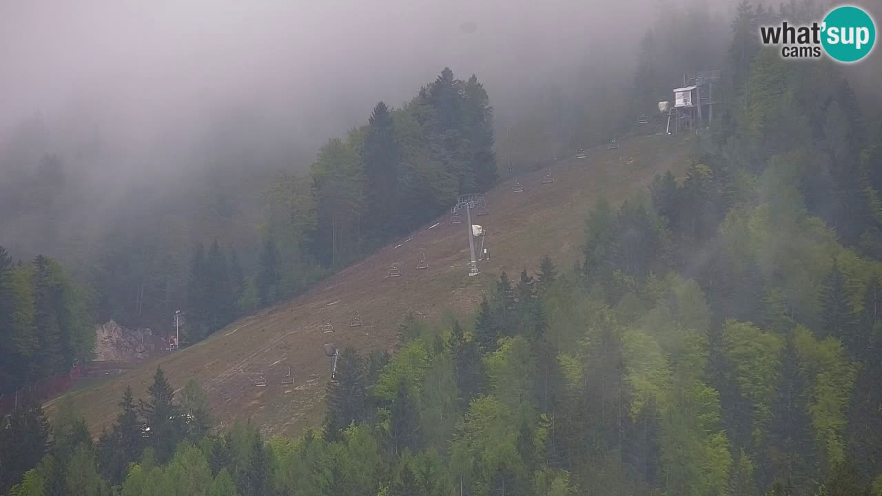 Skigebiet Kranjska Gora | Velika Dolina