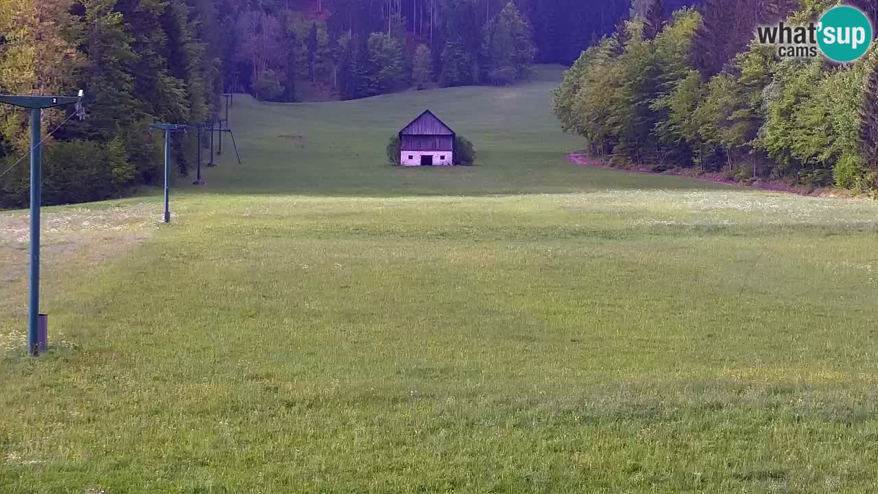 Ski Kranjska Gora | Velika Dolina