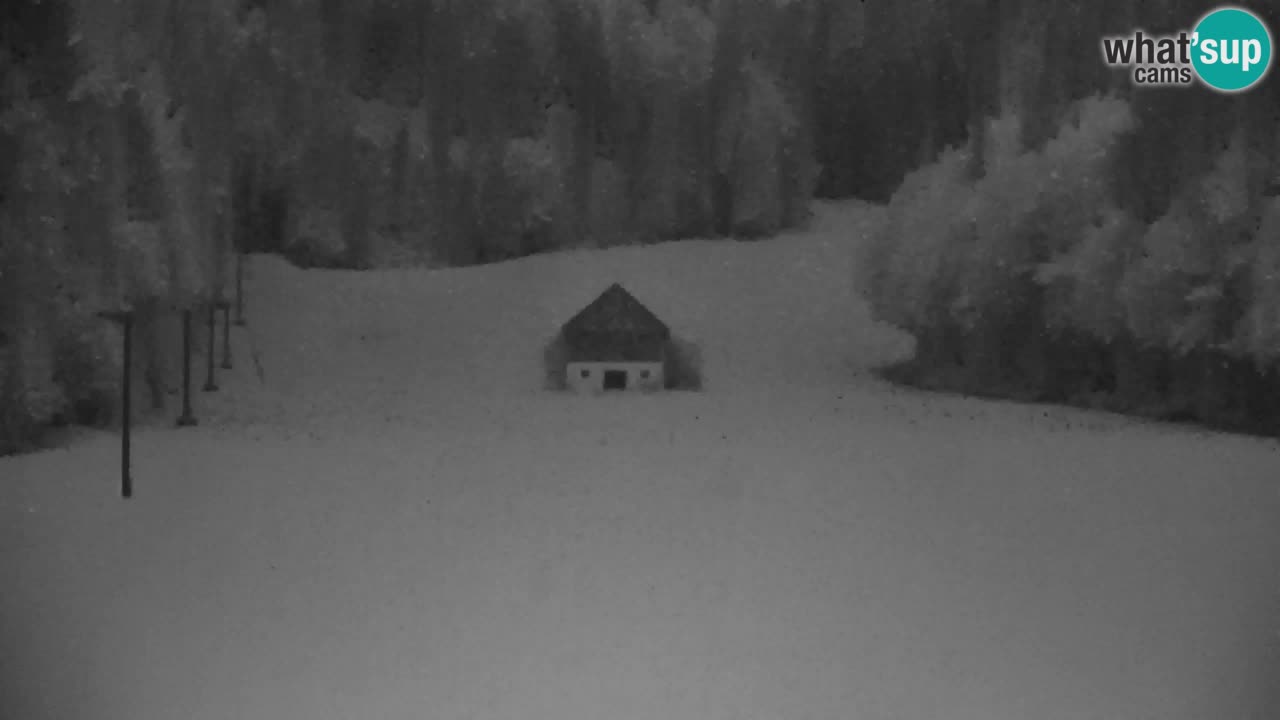 Skigebiet Kranjska Gora | Velika Dolina