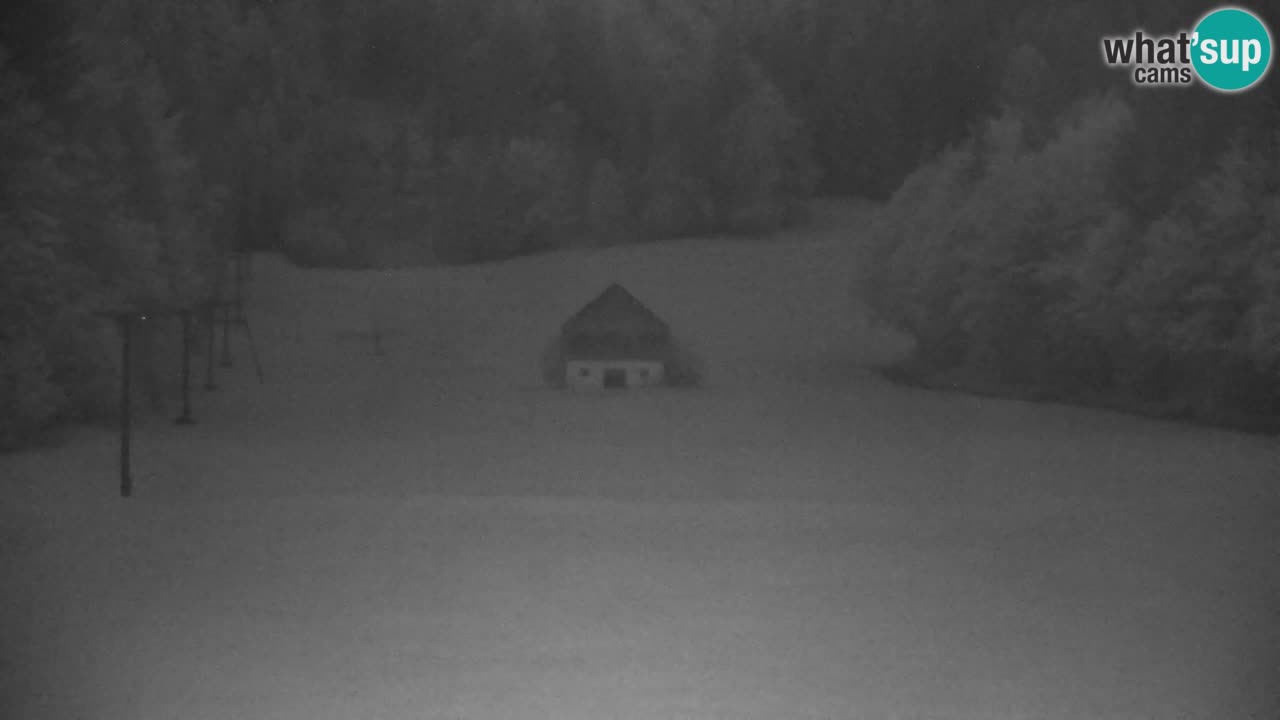 Skijanje Kranjska Gora | Velika Dolina