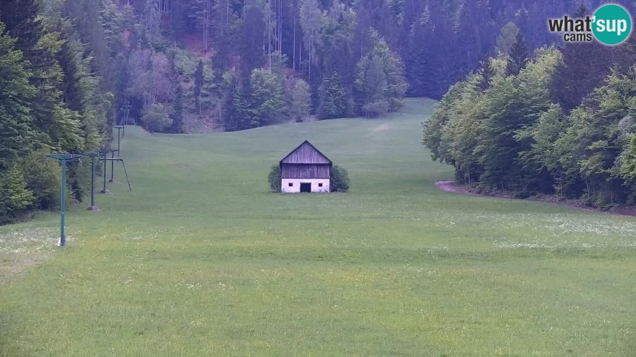 Estación de esquí Kranjska Gora | Velika Dolina