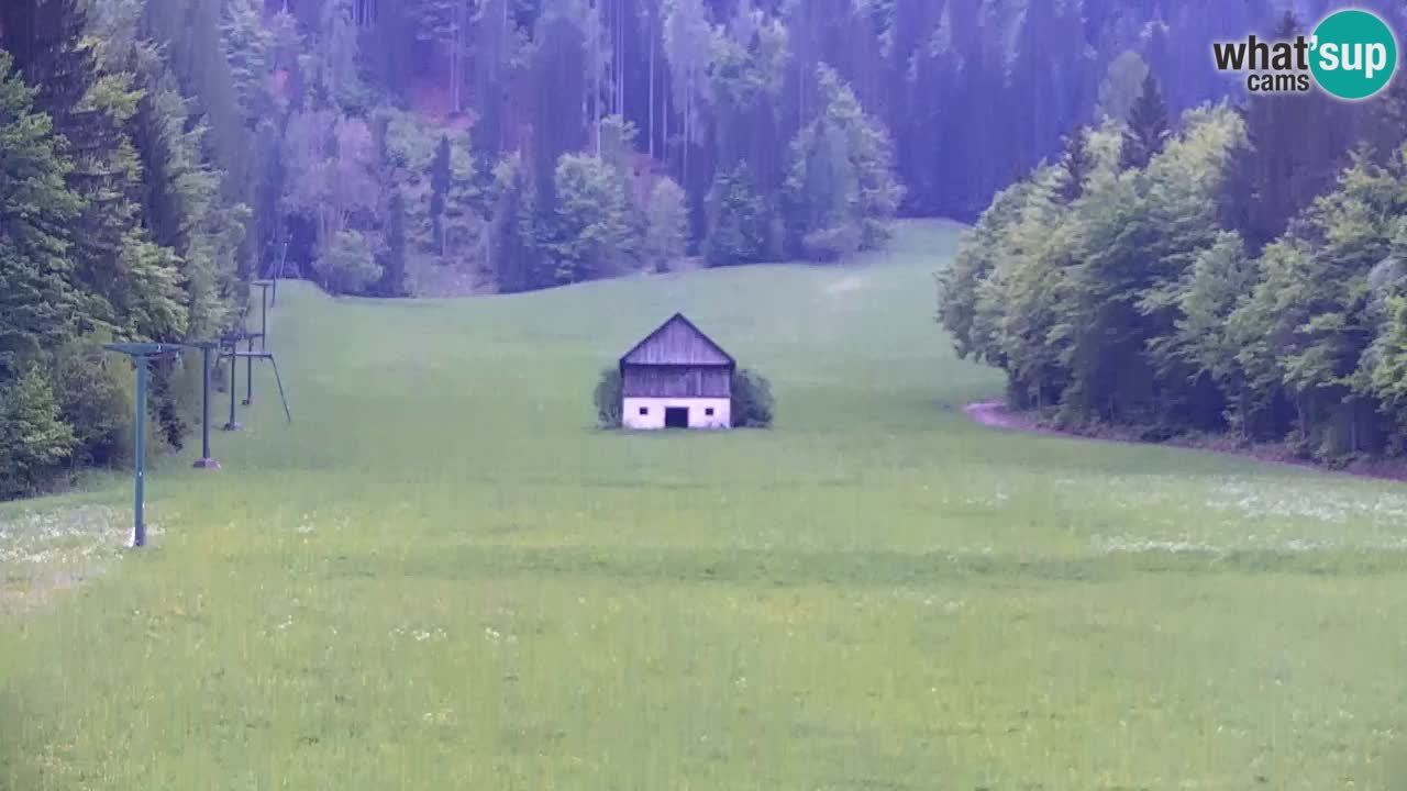 Skigebiet Kranjska Gora | Velika Dolina