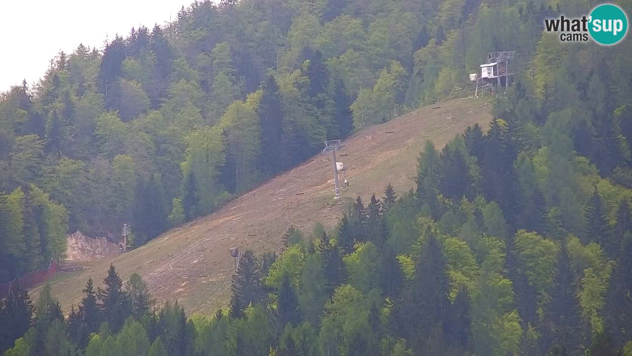 Skigebiet Kranjska Gora | Velika Dolina