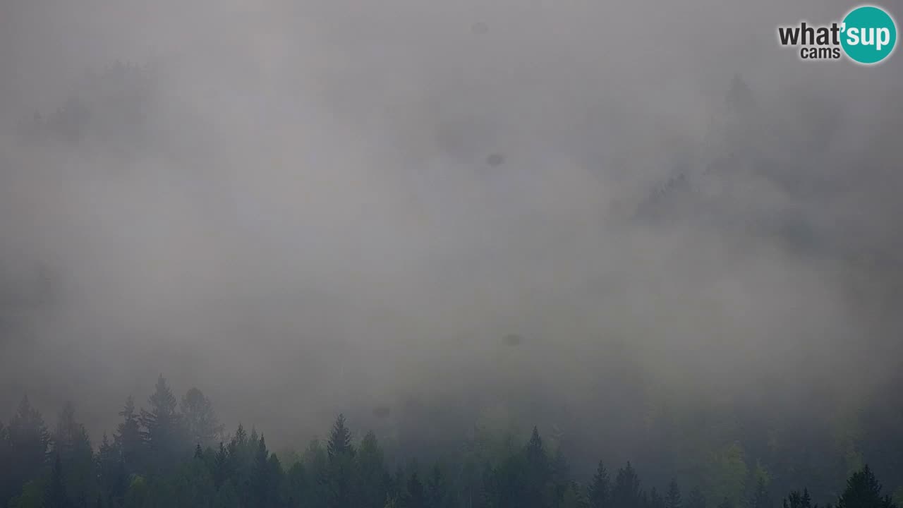 Estación de esquí Kranjska Gora | Velika Dolina