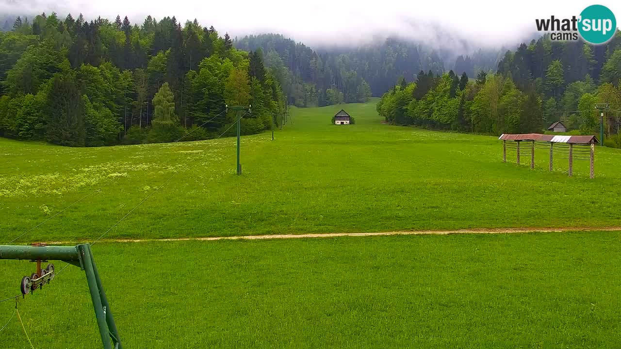 Ski Kranjska Gora | Velika Dolina