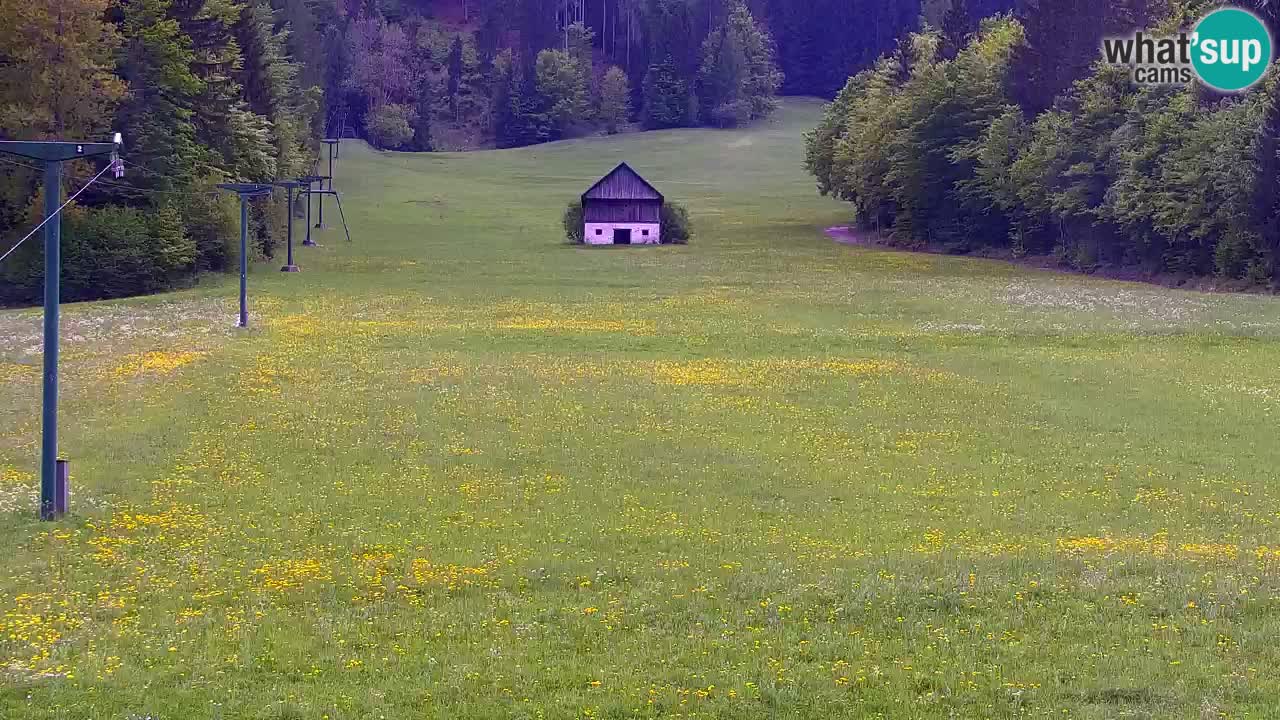 Ski Kranjska Gora | Velika Dolina