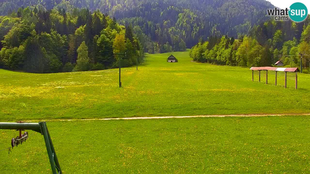 Ski Kranjska Gora | Velika Dolina