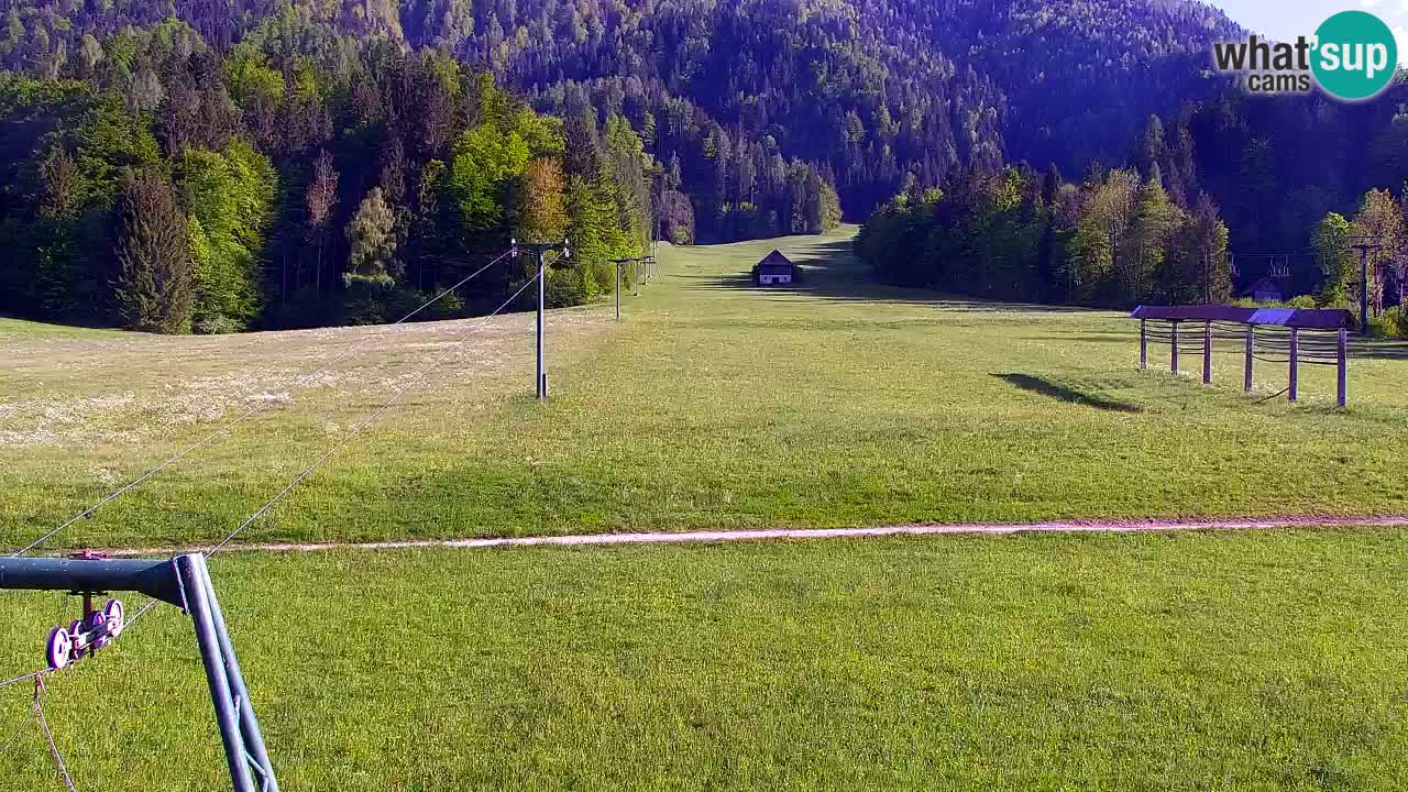 Estación de esquí Kranjska Gora | Velika Dolina