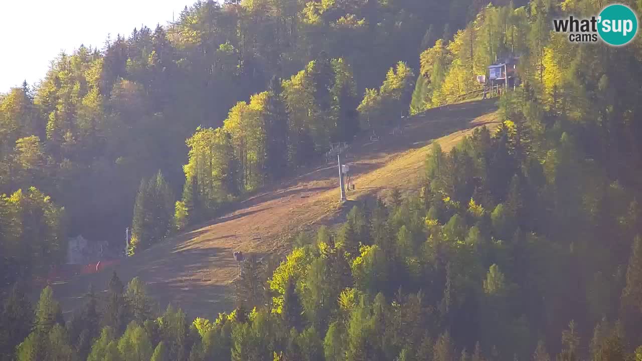 Ski Kranjska Gora | Velika Dolina