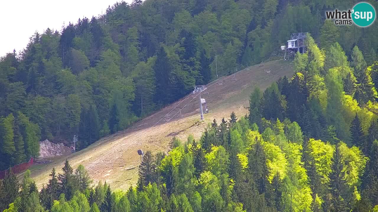 Ski Kranjska Gora | Velika Dolina