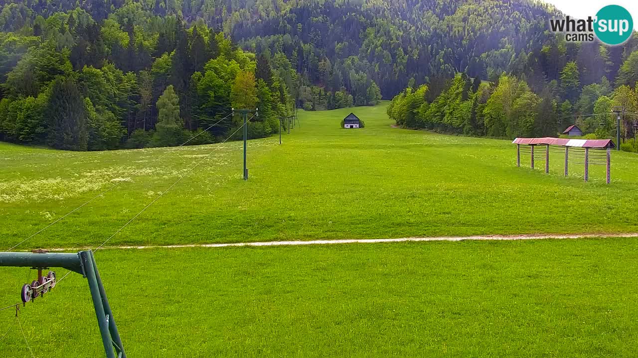 Ski Kranjska Gora | Velika Dolina