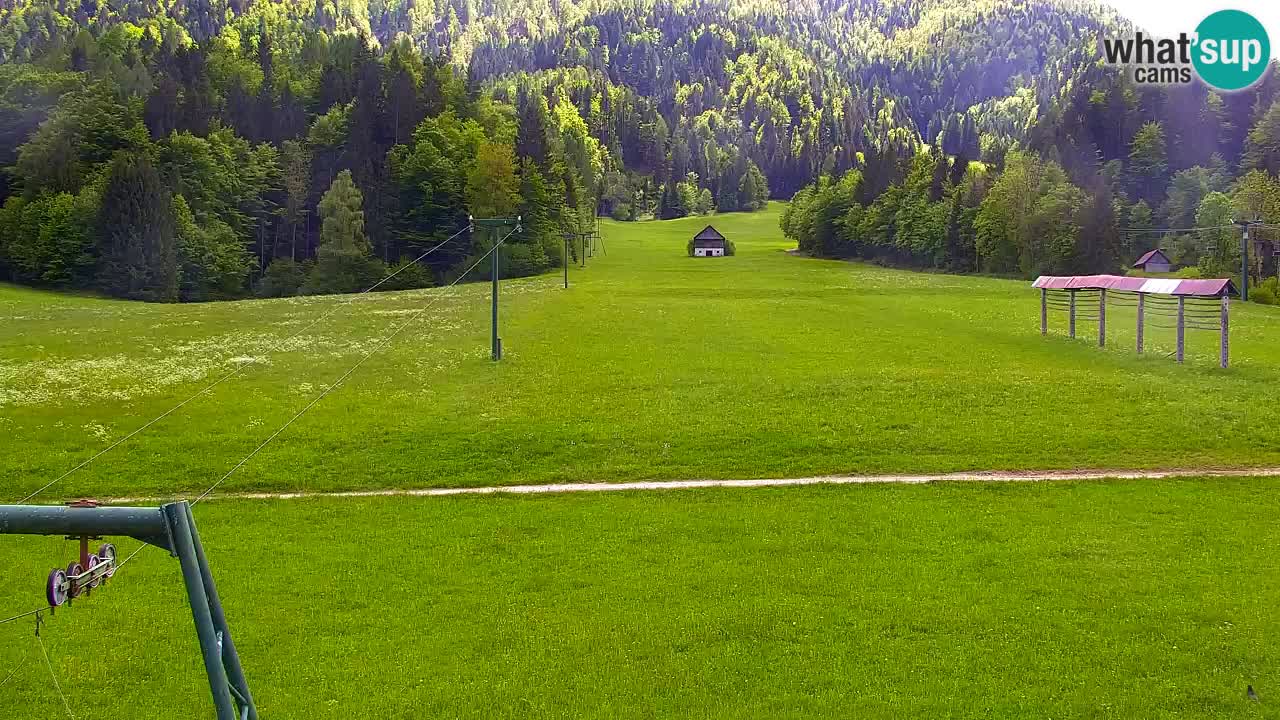 Skigebiet Kranjska Gora | Velika Dolina