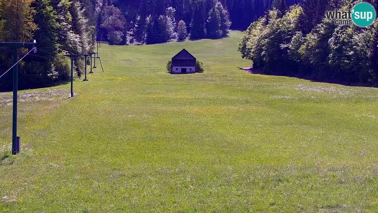 Estación de esquí Kranjska Gora | Velika Dolina