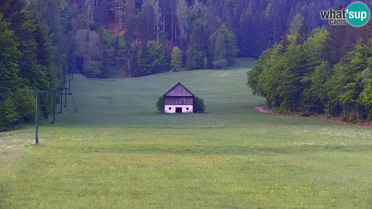 Ski Kranjska Gora | Velika Dolina