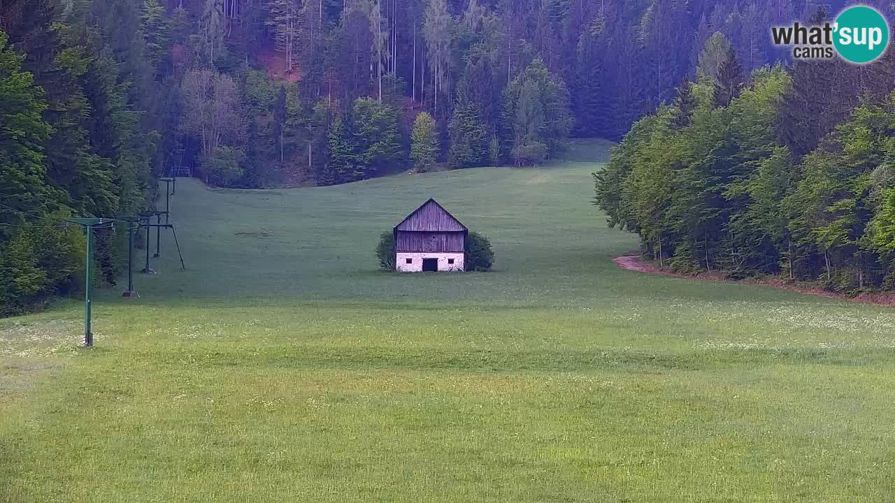 Skigebiet Kranjska Gora | Velika Dolina