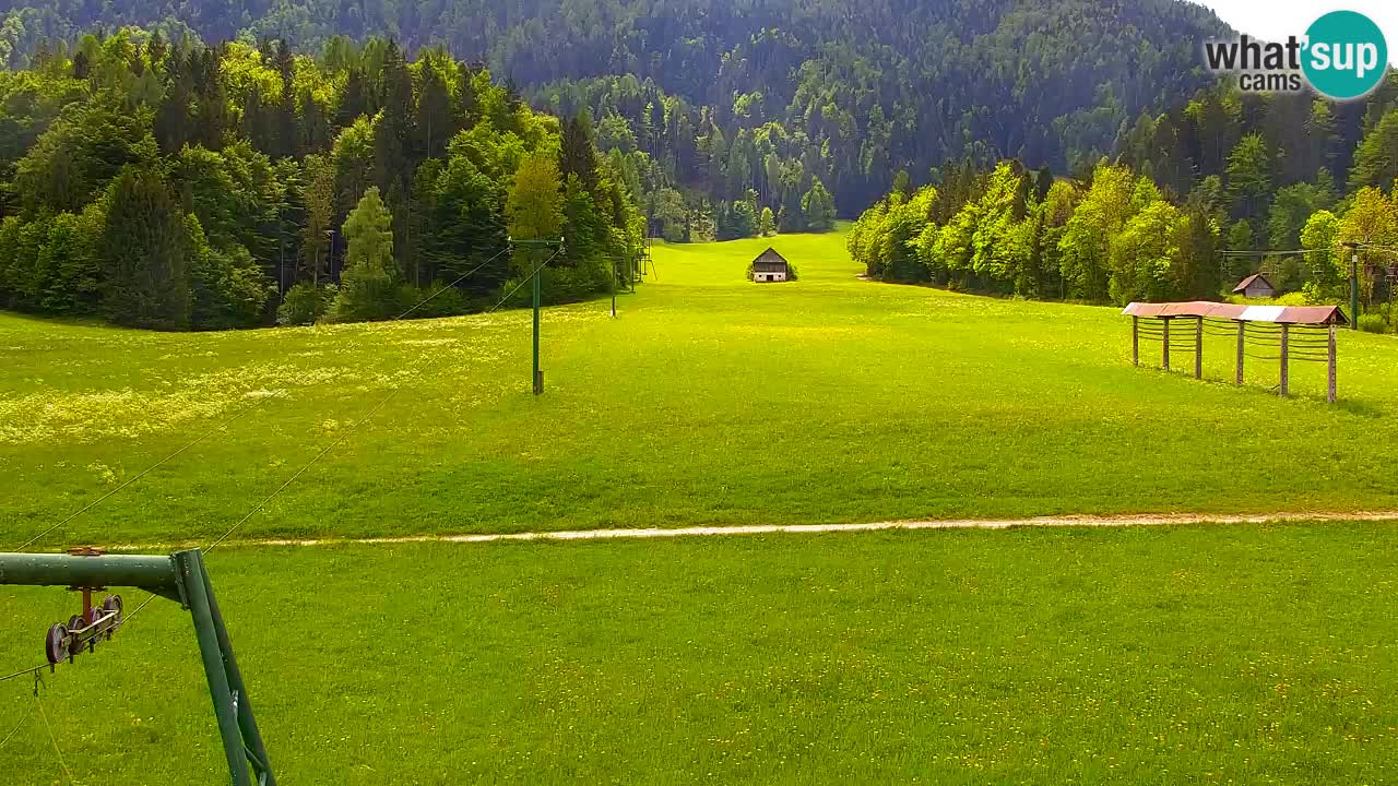 Ski Kranjska Gora | Velika Dolina