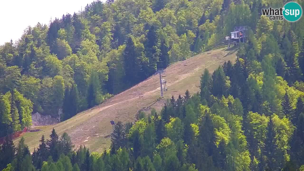 Ski Kranjska Gora | Velika Dolina