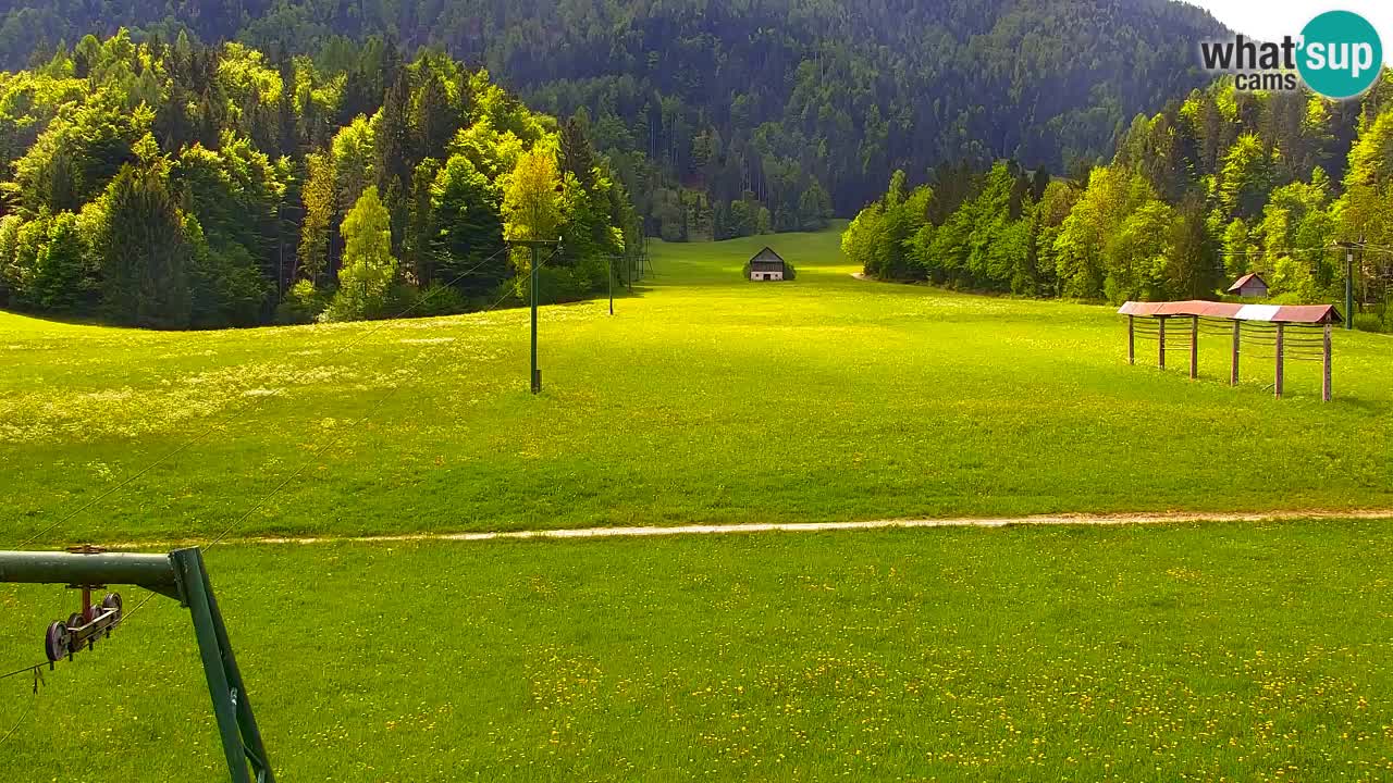 Ski Kranjska Gora | Velika Dolina
