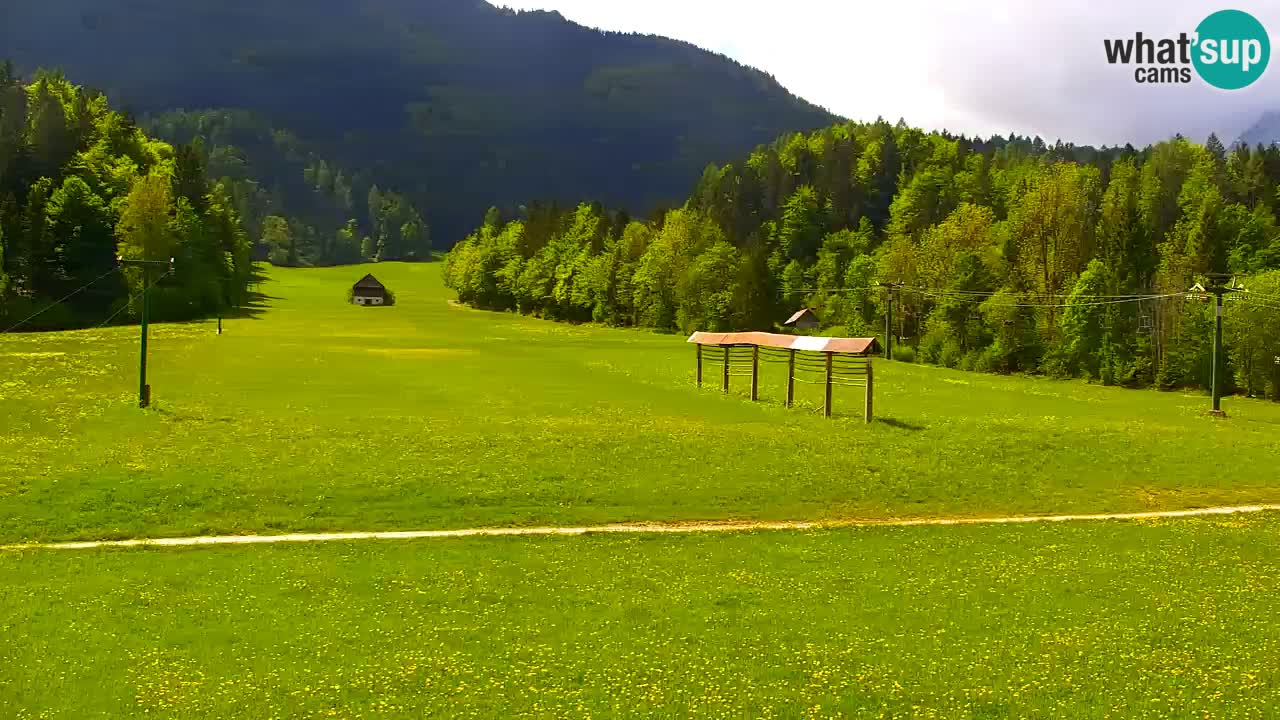 Skigebiet Kranjska Gora | Velika Dolina