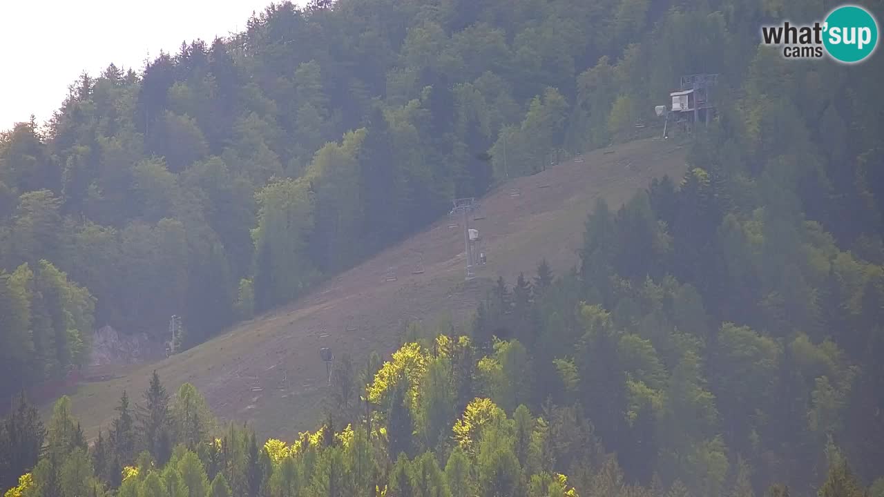 Estación de esquí Kranjska Gora | Velika Dolina