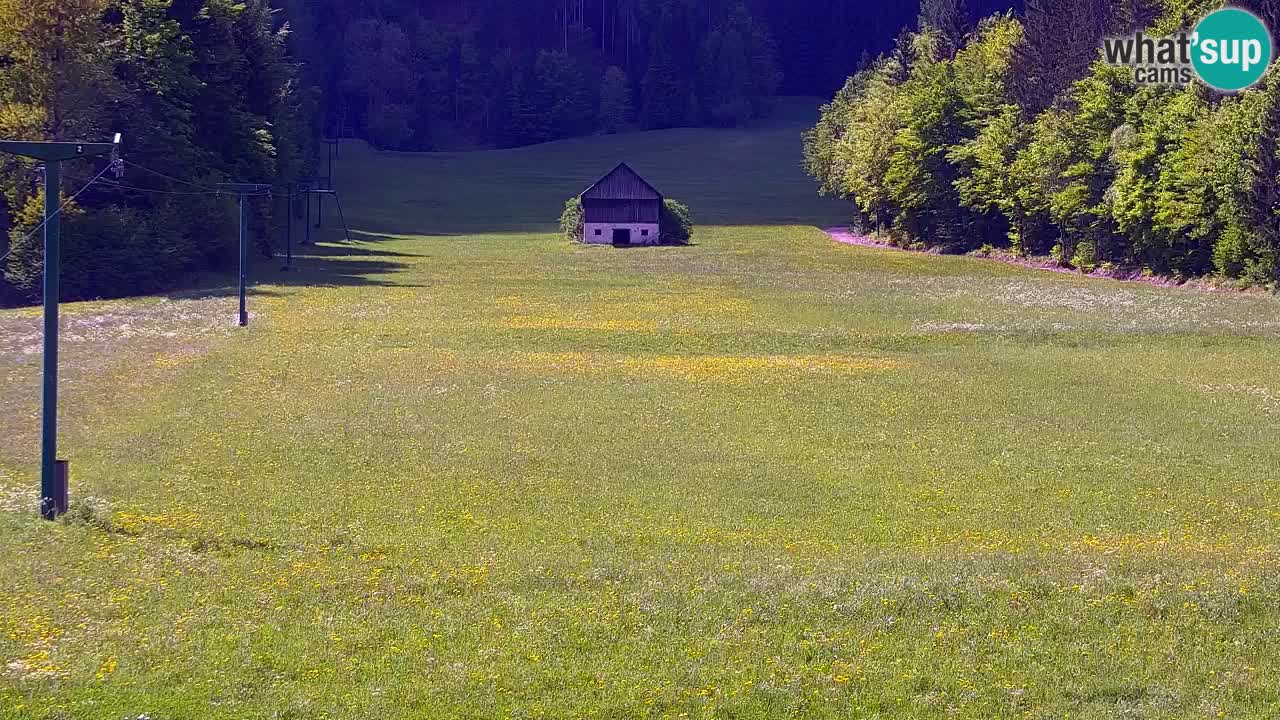 Estación de esquí Kranjska Gora | Velika Dolina