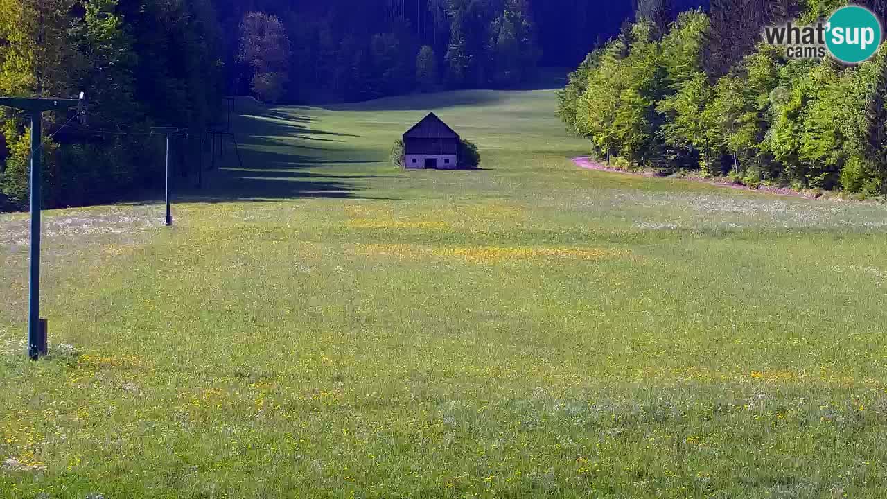 Skigebiet Kranjska Gora | Velika Dolina