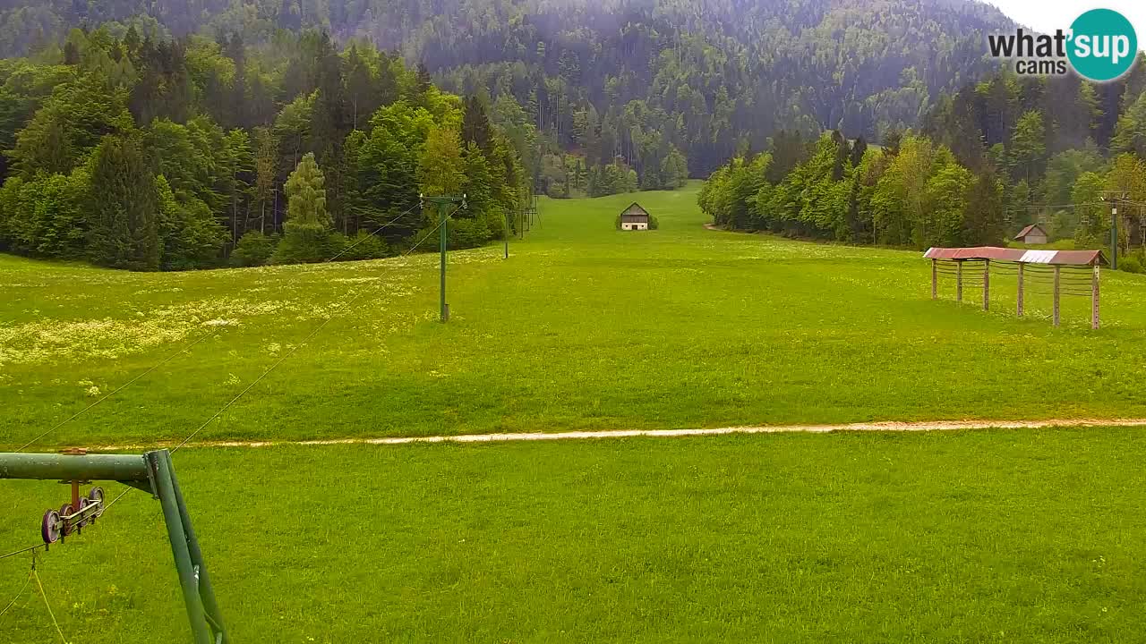 Ski Kranjska Gora | Velika Dolina