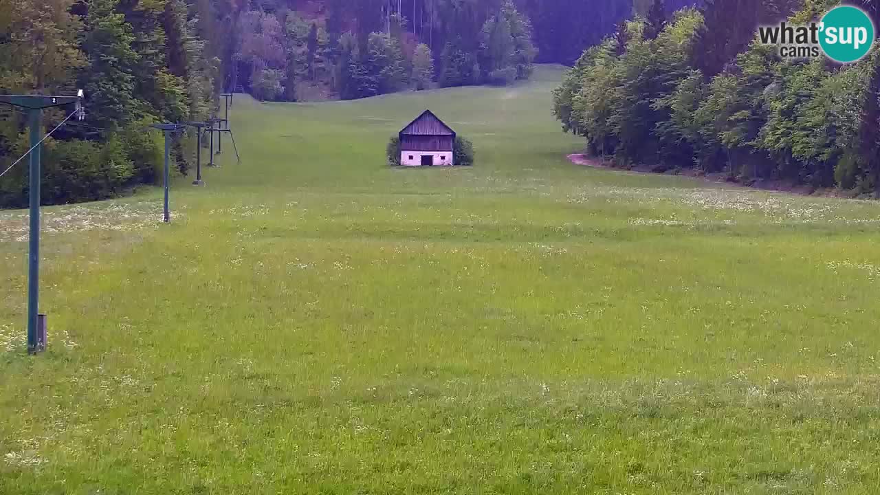 Ski Kranjska Gora | Velika Dolina
