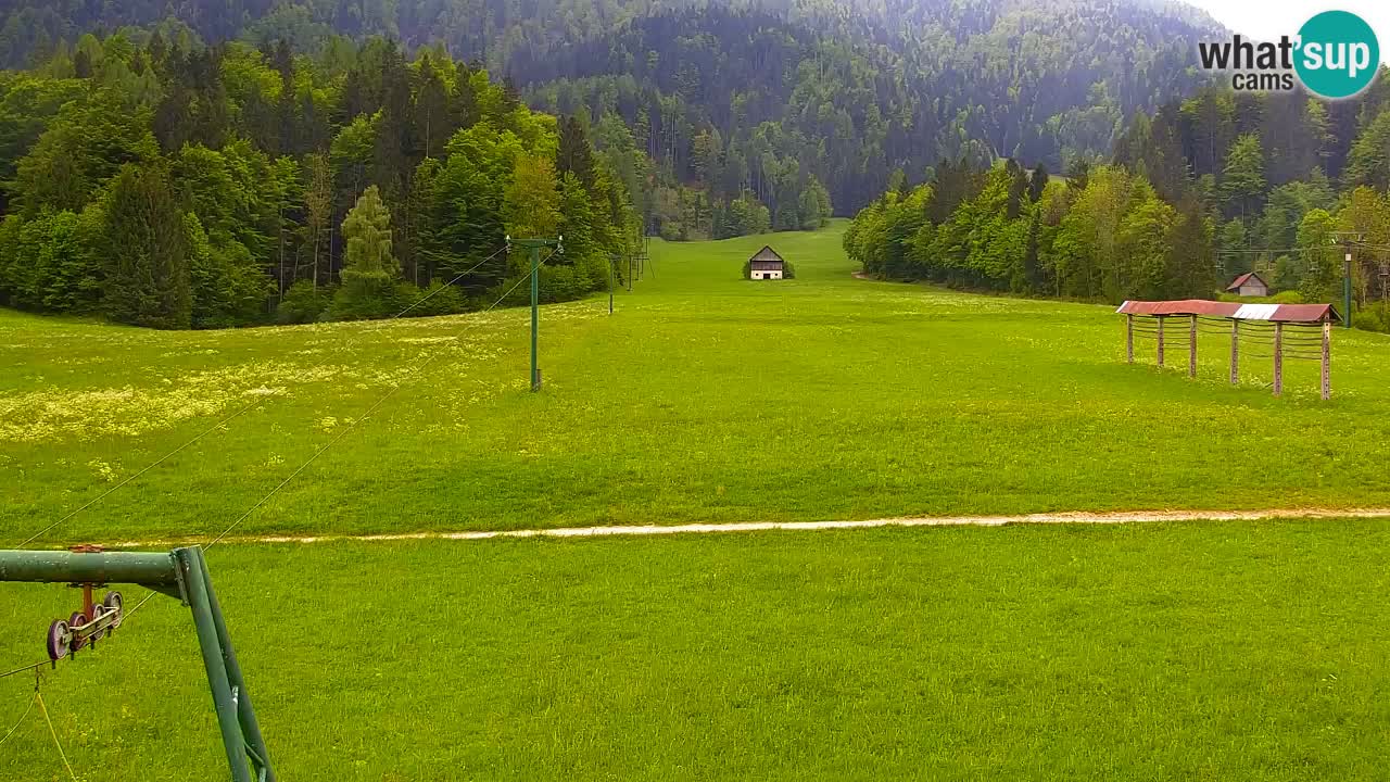 Ski Kranjska Gora | Velika Dolina