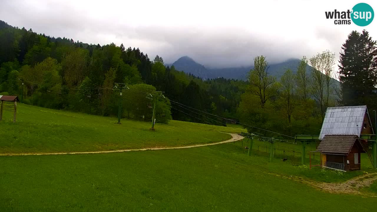 Estación de esquí Kranjska Gora | Velika Dolina