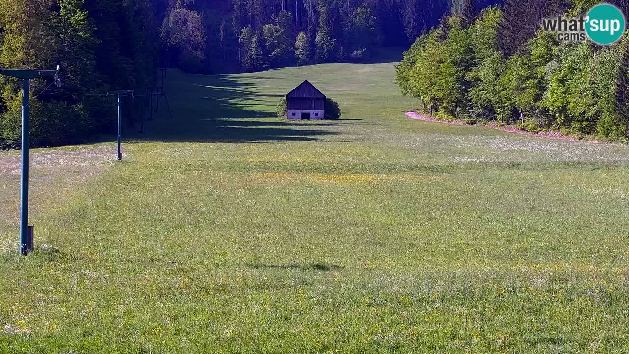 Ski Kranjska Gora | Velika Dolina