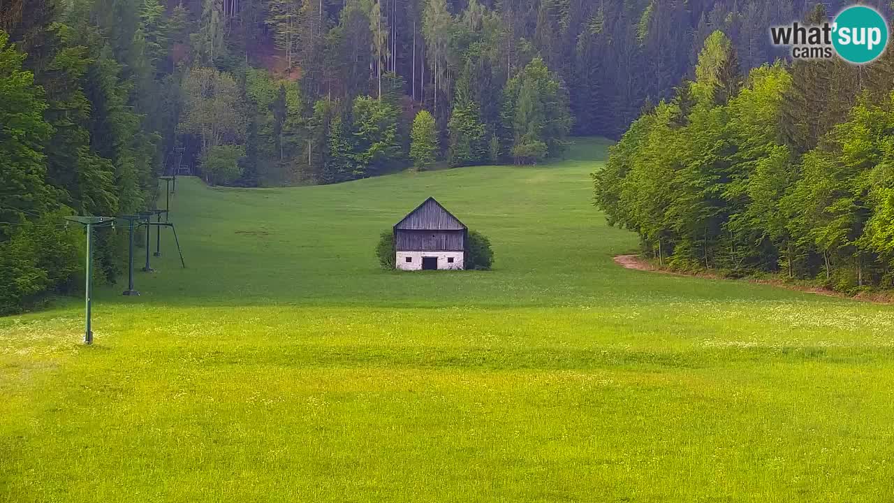 Estación de esquí Kranjska Gora | Velika Dolina