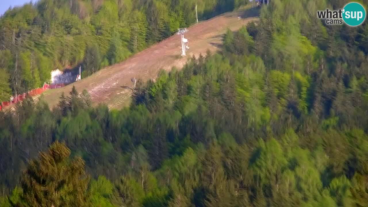 Skigebiet Kranjska Gora | Velika Dolina