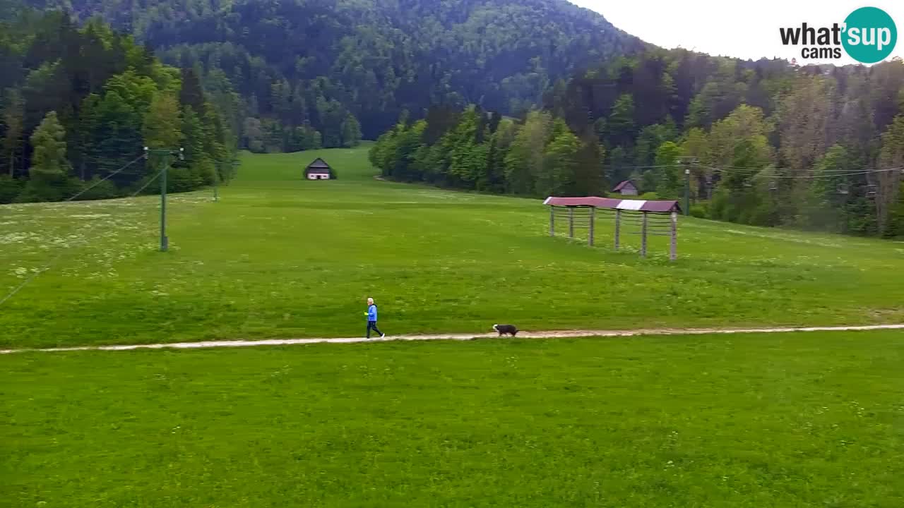 Kranjska Gora | Velika Dolina