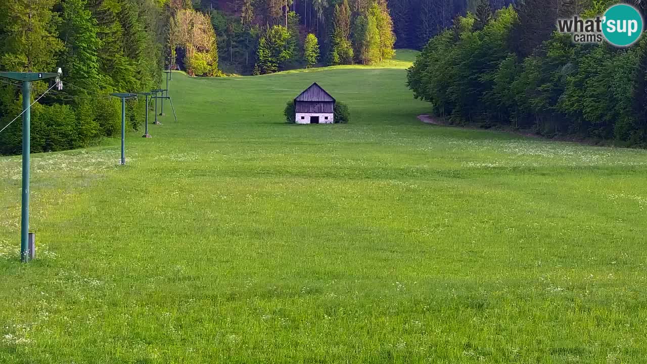 Skigebiet Kranjska Gora | Velika Dolina