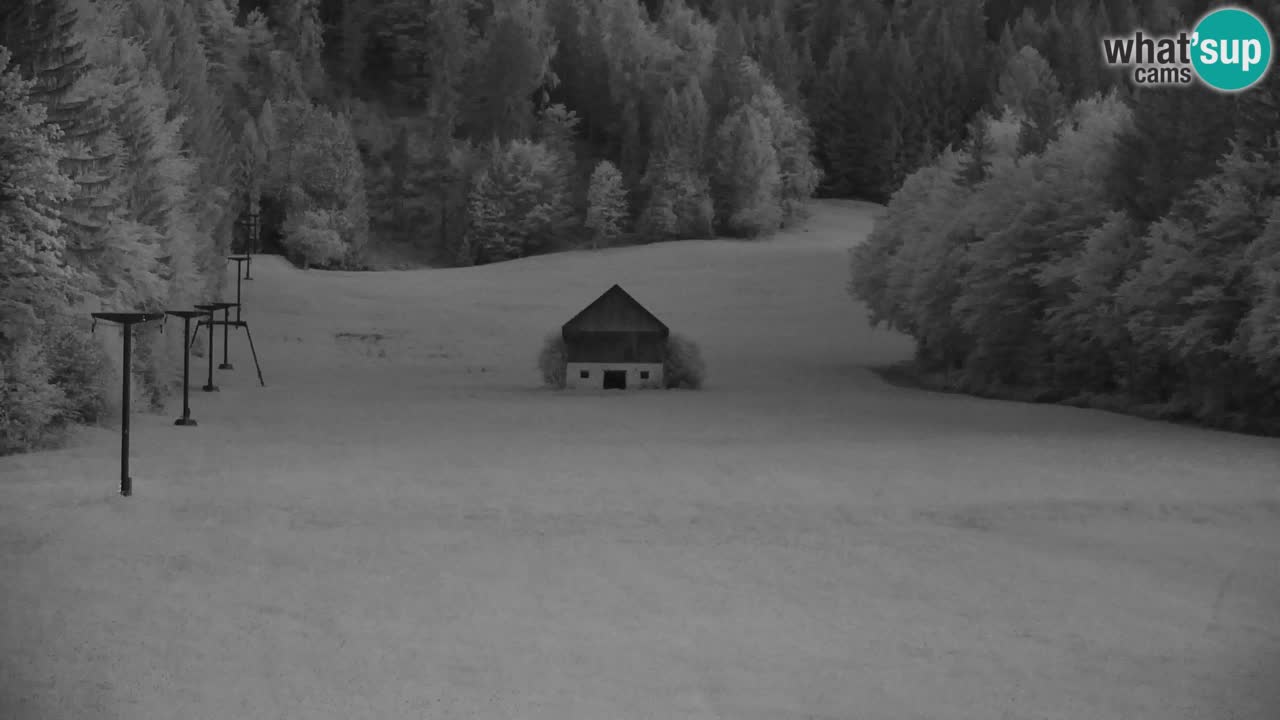 Skijanje Kranjska Gora | Velika Dolina