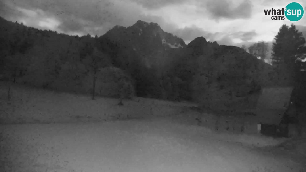 Ski Kranjska Gora | Velika Dolina