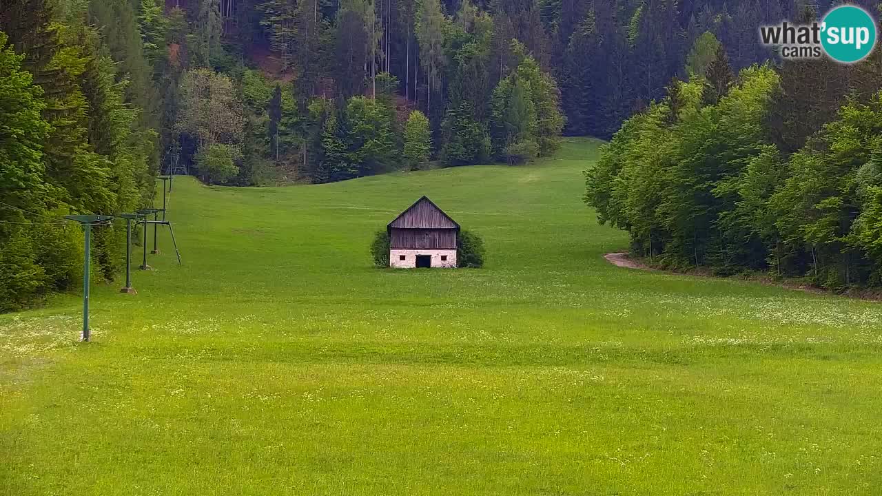 Skigebiet Kranjska Gora | Velika Dolina