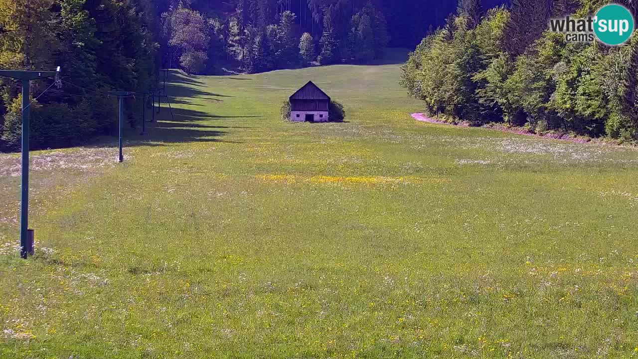 Skijanje Kranjska Gora | Velika Dolina