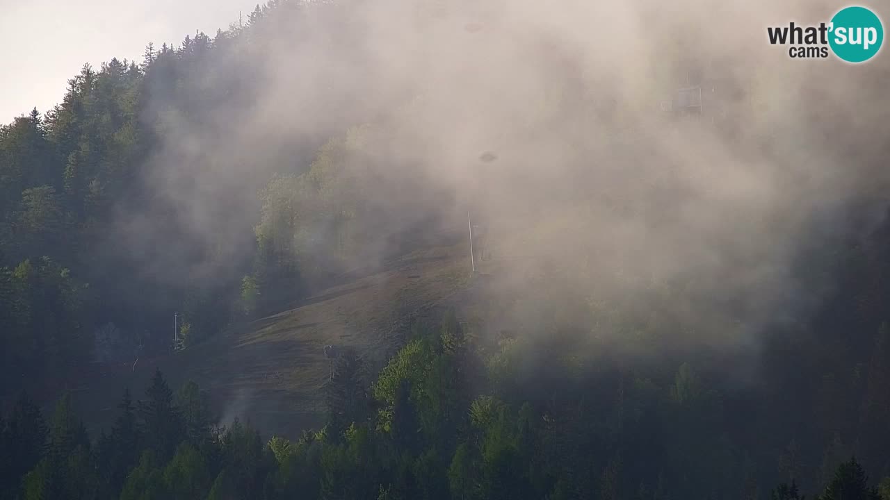 Ski Kranjska Gora | Velika Dolina