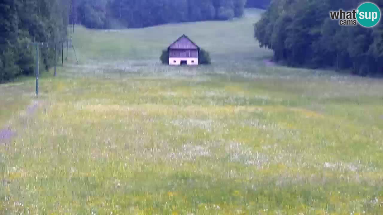Skijanje Kranjska Gora | Velika Dolina